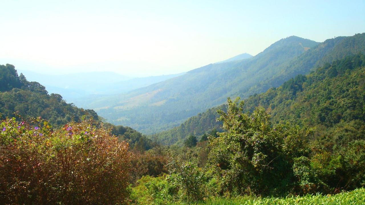 Magoebaskloof Hotel Тзанеен Екстериор снимка